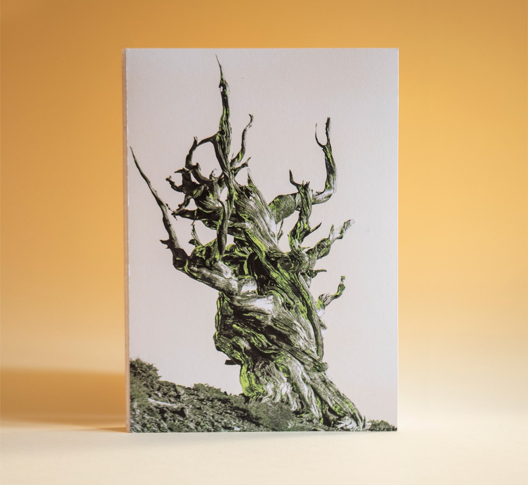 Limited Edition - The Tree of Life, Тефтер с июстрация на корицата от Дана Тилева