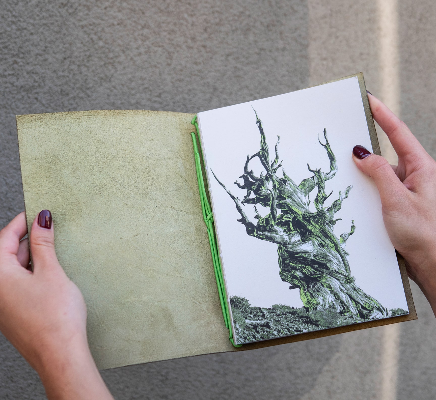 Ready Made The tree of life Тефтер с подвързия от естествено дъбена кожа в зелено. Илюстрация на корицата Дана Тилева.